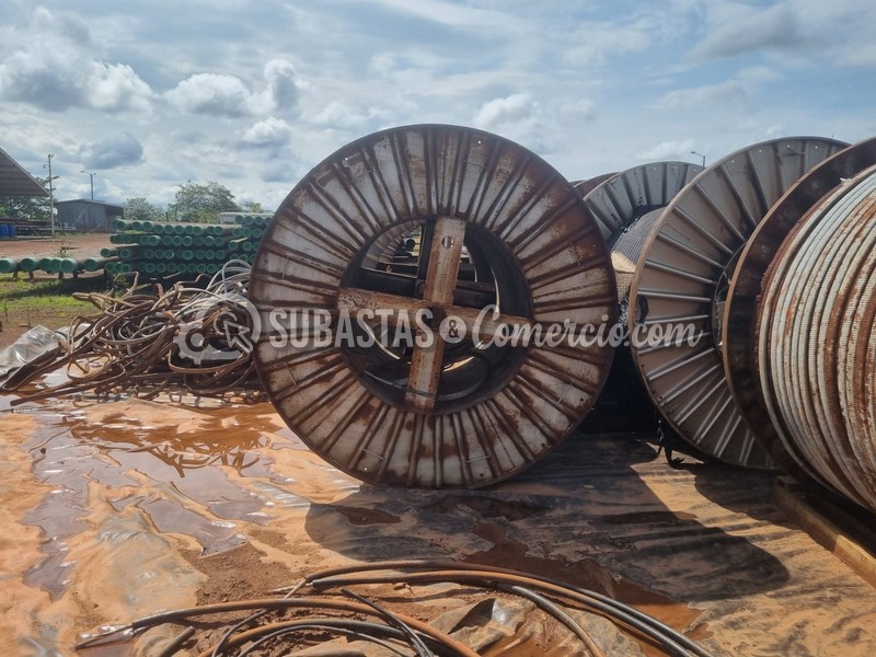 WhatsApp Image 2025-11-07 at 12.53.44 PM.jpg